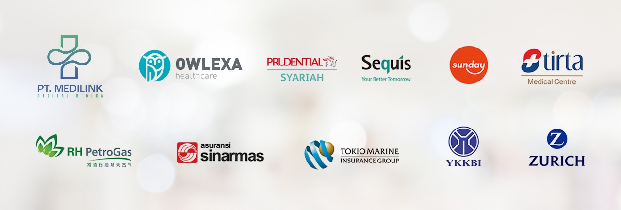 Insurance Partners